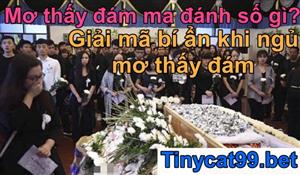 Mơ Thấy Đám Ma Có Điềm Gì? Con Số Bí Ẩn Khi Mơ Đám Tang?