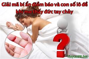 Mơ Thấy Đứt Tay Chảy Máu Đánh Con Gì? Điềm Báo Gì Đằng Sau Giấc Mơ Ấy?