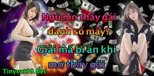 Mơ Thấy Gái Đánh Con Gì? Con Số May Mắn Khi Mơ Thấy Gái