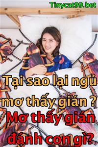 Mơ Thấy Gián Đánh Con Gì Trúng Đề 2 Nháy? Giải Mã Giấc Mơ