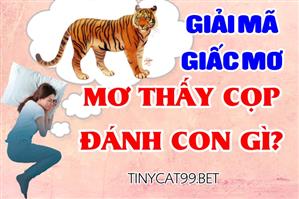 Giải Mã Giấc Mơ Thấy Hổ, Cọp - Con Hổ, Cọp Đánh Số Mấy