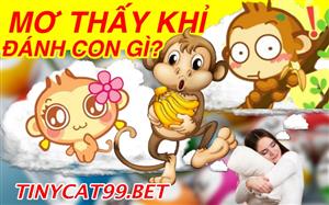 Mơ Thấy Khỉ Thì Đánh Con Gì? Con Số May Mắn Khi Mơ Thấy Khỉ?