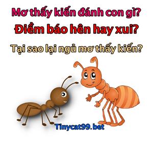 Mơ Thấy Kiến Đánh Con Gì? Giải Mã Bí Ẩn Khi Mơ Thấy Kiến