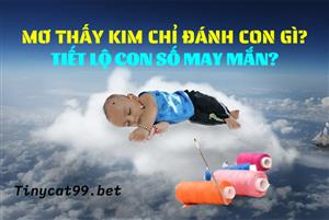 Mơ Thấy Kim Chỉ Đánh Con Gì? Tiết Lộ Con Số May Mắn?