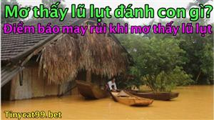 Mơ Thấy Lũ Lụt Thì Đánh Con Gì? Con Số May Mắn Khi Mơ Thấy Lũ Lụt