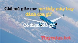 Giải Mã Giấc Mơ: Mơ Thấy Máy Bay Đánh Con Gì? Có Điềm Báo Gì?