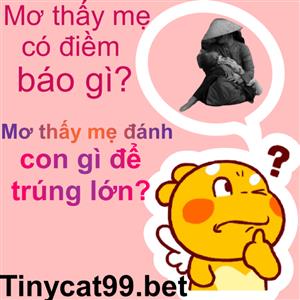 Nằm Mơ Thấy Mẹ Có Ý Nghĩa Gì - Con Số May Mắn Ẩn Về Giấc Mơ Có Mẹ