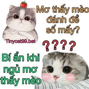Nằm Mơ Thấy Mèo Mang Ý Nghĩa Gì? Con Số May Mắn Của Những Giấc Mơ Về Mèo