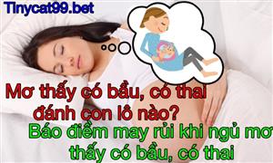 Đánh Con Gì Khi Mơ Thấy Có Bầu. Giải Mã Giấc Mơ Mình Có Thai