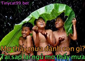 Nằm Mơ Thấy Mưa Đánh Con Gì? Bí Ẩn Khi Ngủ Mơ Thấy Mưa 