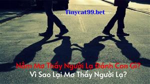 Nằm Mơ Thấy Người Lạ Đánh Con Gì? Vì Sao Lại Mơ Thấy Người Lạ?