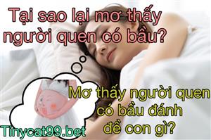 Nằm Mơ Thấy Người Quen Có Bầu Thì Nên Đánh Con Gì? Có Điềm Báo Gì