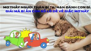 Tại Sao Mơ Thấy Người Thân Bị Tai Nạn - Lô Đề Số Mấy?