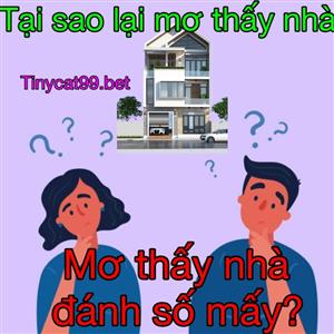 Nằm Mơ Thấy Nhà Thì Đánh Đề Con Gì? Giải Mã Giấc Mơ Ngôi Nhà