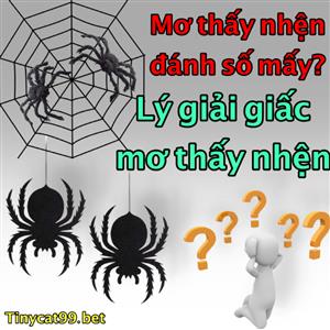 Nằm Mơ Thấy Nhện Đánh Con Gì? Ý Nghĩa Giấc Mơ Nhện Là Gì?