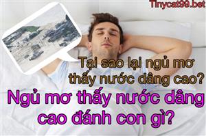 Nằm Mơ Thấy Nước Dâng Cao Đánh Con Gì? Giải Mã Bí Ẩn Giấc Mơ Nước Dâng Cao