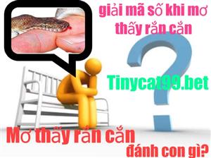 Nằm Mơ Thấy Rắn Cắn Thì Nên Đánh Đề Nào? Và Liệu Nó Có Ý Nghĩa Gì Hay Không?