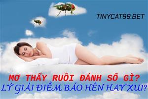 Mơ Thấy Con Ruồi Đánh Số Gì? Giải Mã Bí Ẩn Đằng Giấc Mơ Về Loài Ruồi