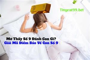 Mơ Thấy Số 9 Đánh Con Gì? Giải Mã Điềm Báo Về Con Số 9