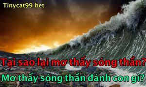 Mơ Thấy Sóng Thần Có Điềm Báo Gì? Ý Nghĩa Khi Mơ Thấy Sóng Thần