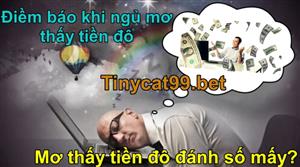 Mơ Thấy Tiền Đô Có Vận Hạn Gì? Giải Mã Giấc Mơ Khi Mơ Thấy Tiền Đô Đánh Số Mấy