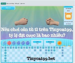 Nếu Chơi Oẳn Tù Tì Trên Tinycat99 - Tỉ Lệ Đặt Cược Là Bao Nhiêu?