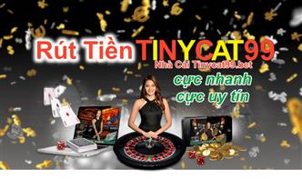 Hướng Dẫn Rút Tiền TinyCat99 Nhanh Nhất Trong 1 Phút - Chính Xác