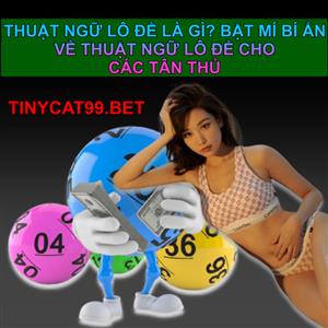 Thuật Ngữ Lô Đề Là Gì? Khái Niệm Về Thuật Ngữ Lô Đề Cho Các Tân Thủ