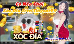 Có Nên Chơi Xóc Đĩa Trên Tinycat99 - Trò Chơi Được Nhiều Người Lựa Chọn